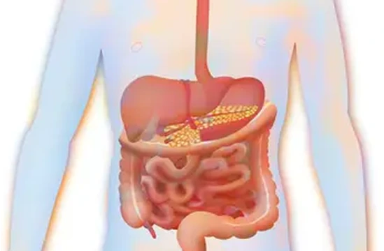 Tools to help you pass Diagram of the gastrointestinal system used in pediatric board review to support learning of pediatric GI conditions and anatomy
