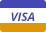 Pediatric Board Review Questions Online Visa credit card logo showing that PBR accepts Visa for purchasing pediatric board prep bundles and question banks.